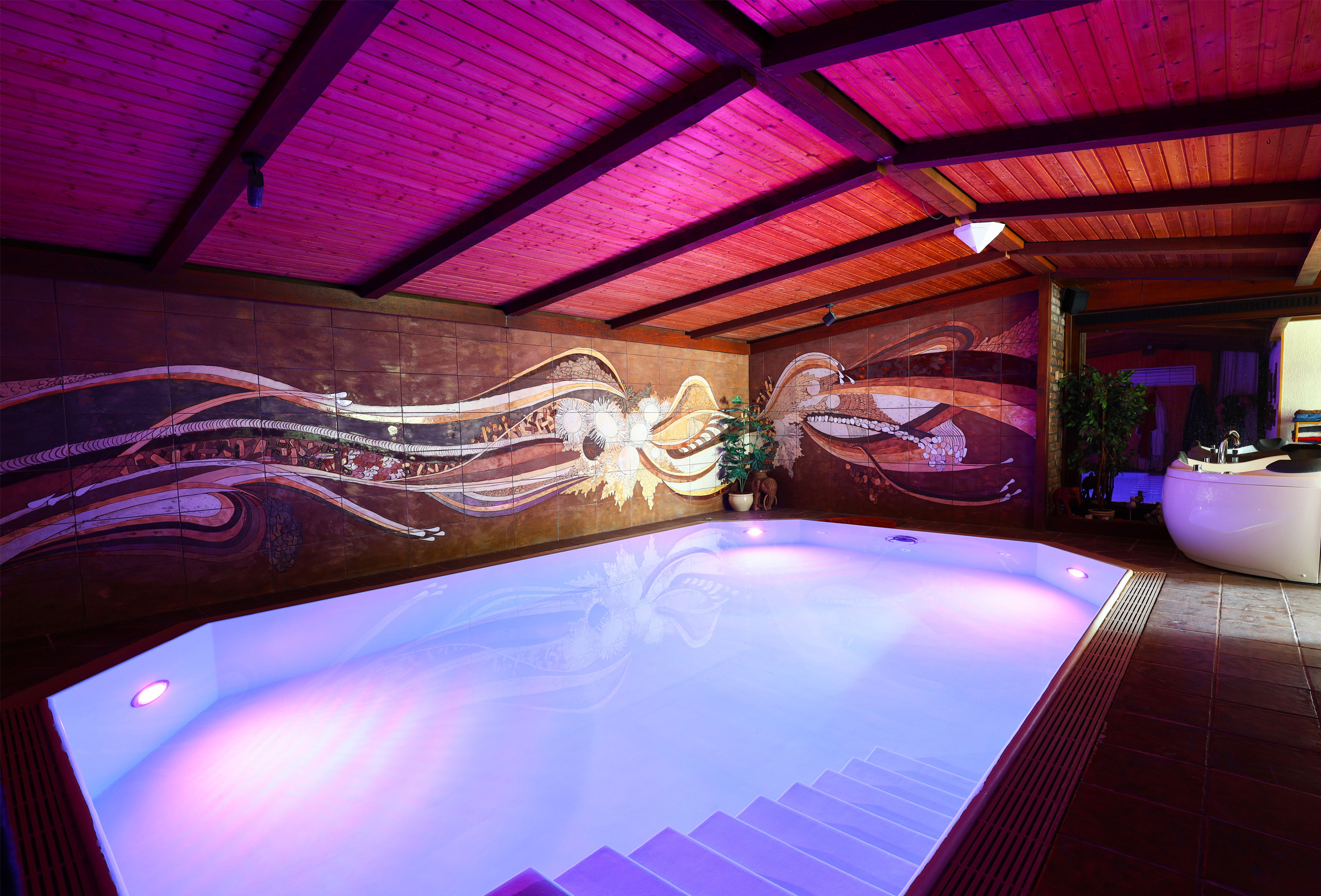 ferienhaus-eifel-pool