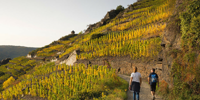 Der Rotwein-Wanderweg in Ahrweiler